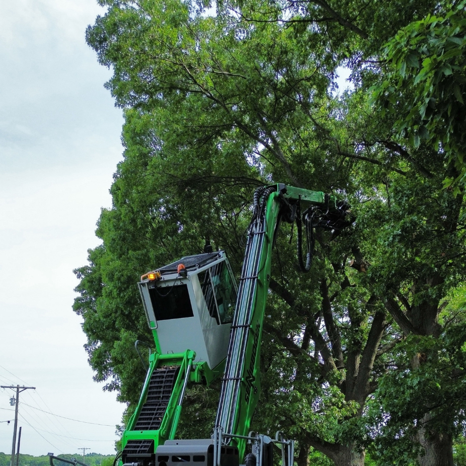 Why Call an Arborist Instead of DIY? While it’s tempting to assess trees yourself, many hazards aren’t visible from the ground or to the untrained eye. That’s why West Michigan homeowners trust New Life Arbor. We’re not just here for emergency removals—we’re your local experts in prevention. Whether it’s spotting a split trunk before it falls or preserving a mature oak with careful cabling, we offer safe, reliable solutions backed by over 20 years of experience. Why Call an Arborist Instead of DIY? While it’s tempting to assess trees yourself, many hazards aren’t visible from the ground or to the untrained eye. That’s why West Michigan homeowners trust New Life Arbor. We’re not just here for emergency removals—we’re your local experts in prevention. Whether it’s spotting a split trunk before it falls or preserving a mature oak with careful cabling, we offer safe, reliable solutions backed by over 20 years of experience.