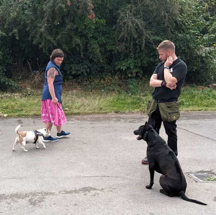 K9 Greatness