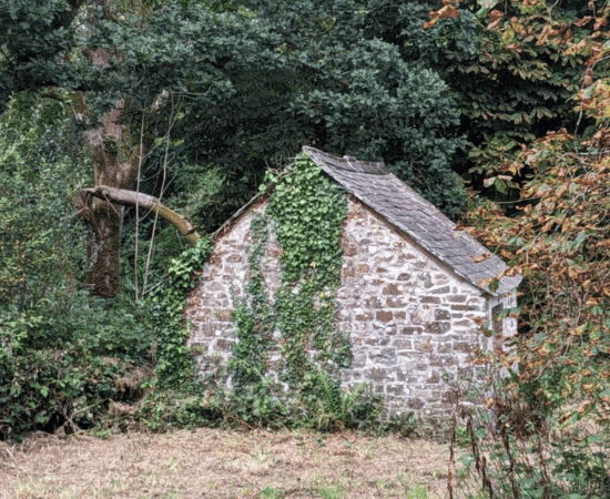 Dunsland: A Tranquil Tapestry of Ruins and Nature's Resilience