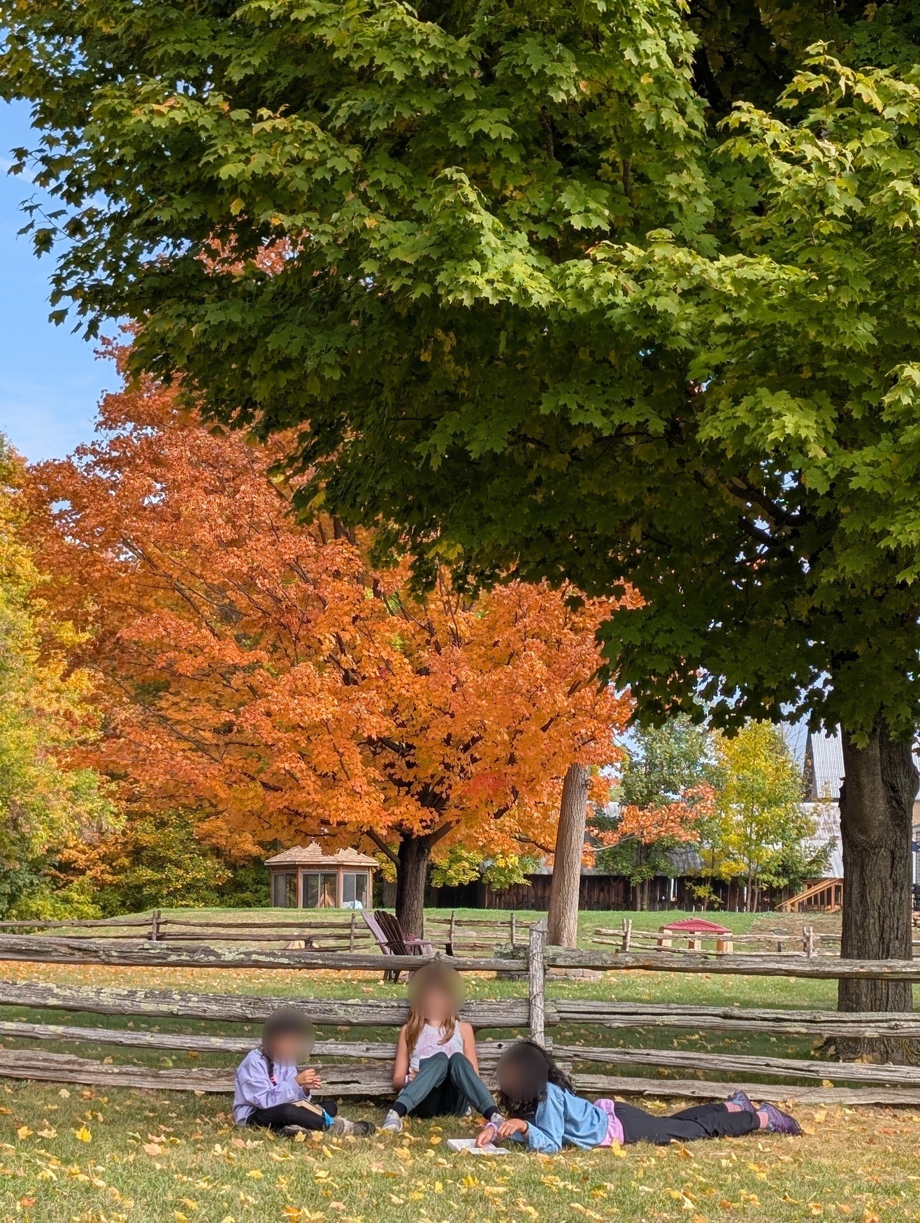Children reading under the trees