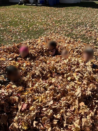 children in leaf pile