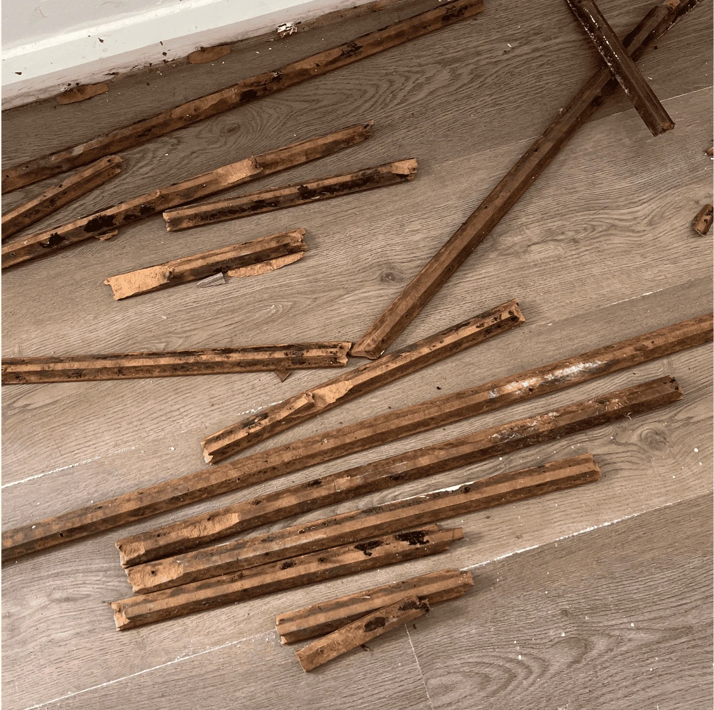 Mould growth visible on removed scotia and skirting boards after groundwater flooding at Sydney Academy of Sport, showing early signs of water damage and contamination. Mould growth visible on removed scotia and skirting boards after groundwater flooding at Sydney Academy of Sport, showing early signs of water damage and contamination.