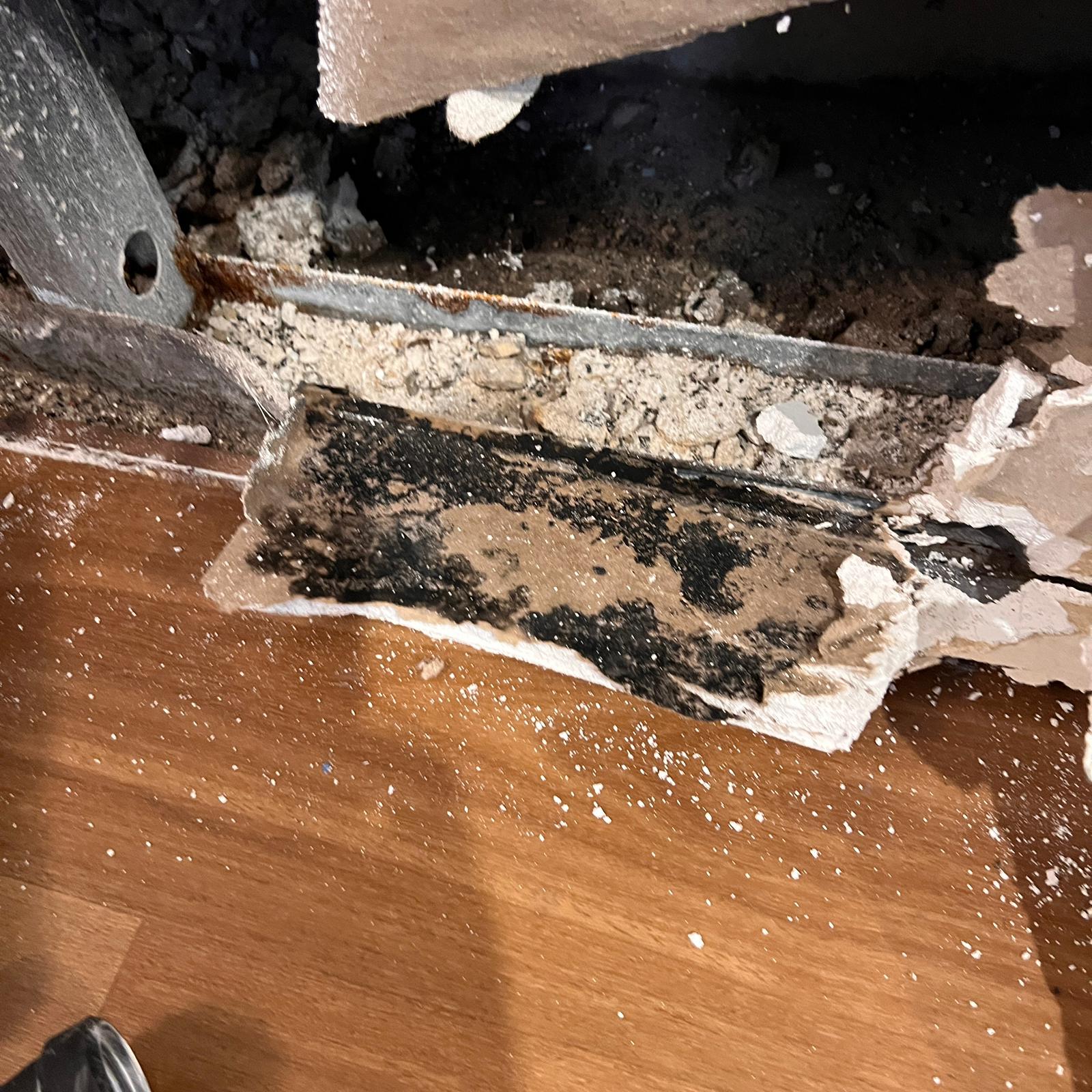 Removed skirting and plasterboard showing heavy black mould on the back of wet drywall, confirming hidden wall cavity contamination during mould inspection and remediation. Removed skirting and plasterboard showing heavy black mould on the back of wet drywall, confirming hidden wall cavity contamination during mould inspection and remediation.