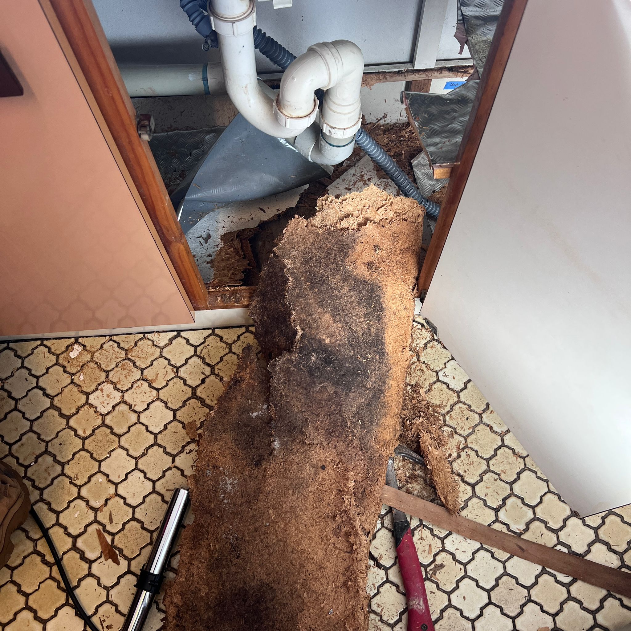 Removed particle board shelving from kitchen cabinet