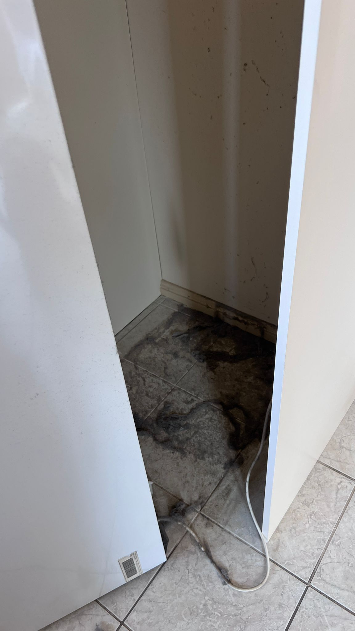 Dust debris identified behind refrigerator following recent repair works