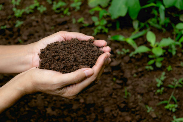 Healthy Soil