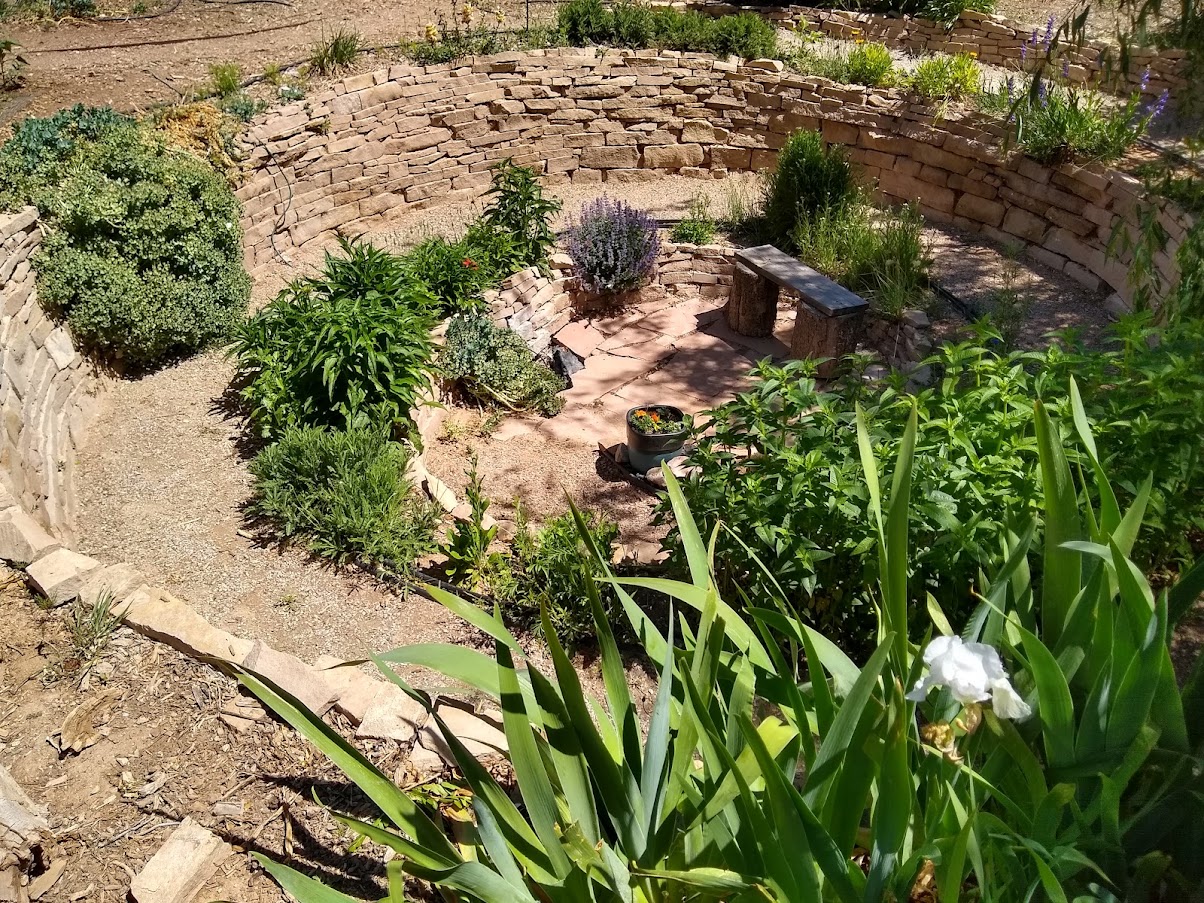 A healthy ecosystem in a permaculture garden, featuring beneficial insects and diverse plant life. A healthy ecosystem in a permaculture garden, featuring beneficial insects and diverse plant life.