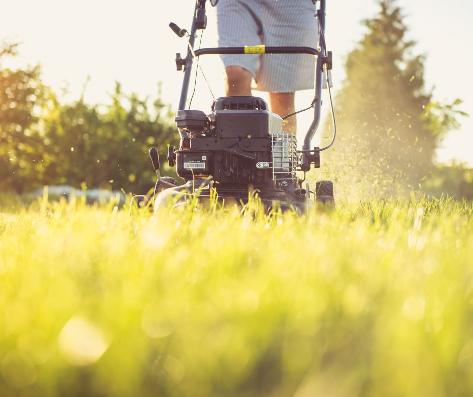 Freshly mowed lawn in Fresno CA showing healthy green grass after seasonal care