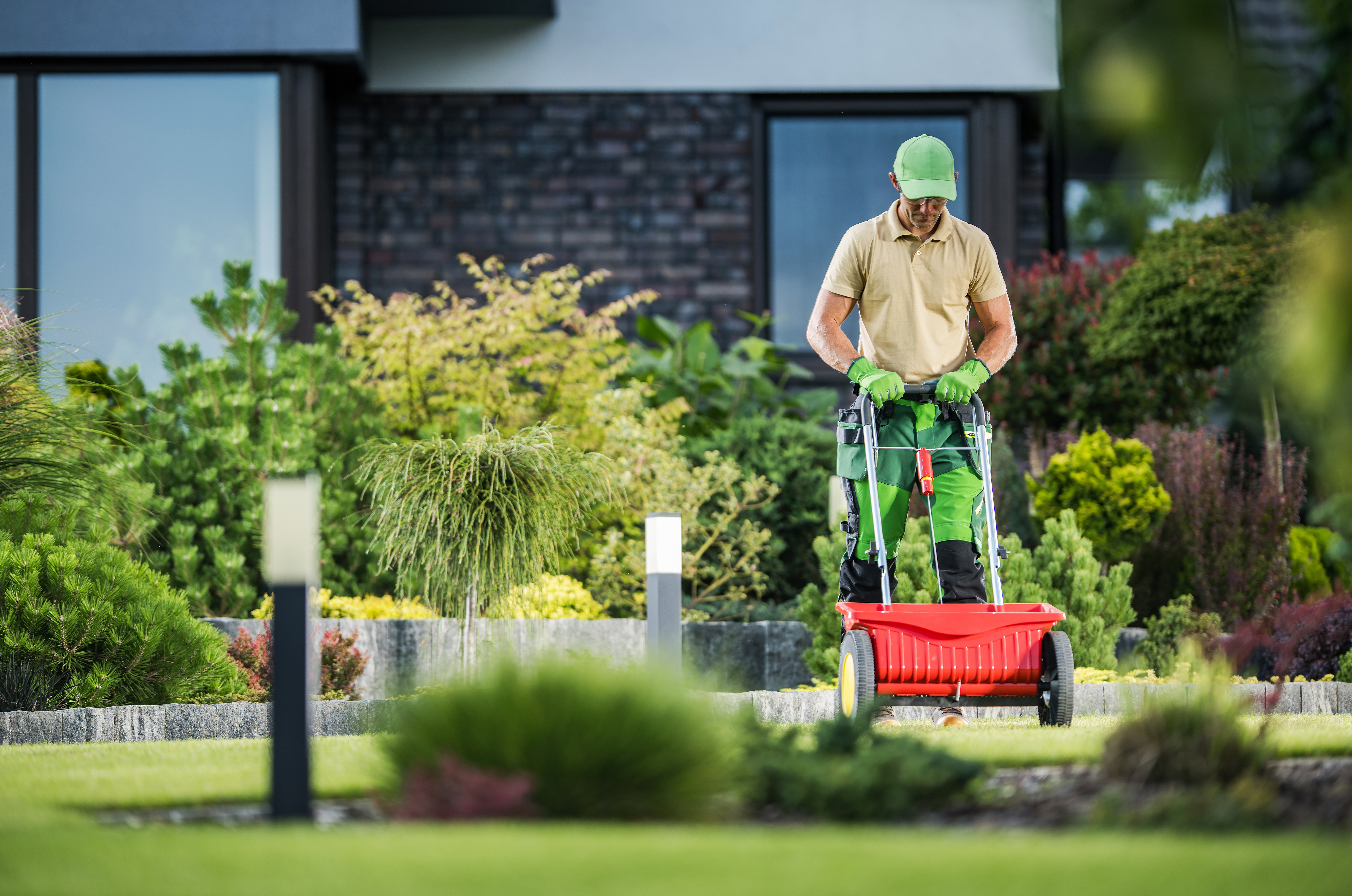 weed control, fertilization, lawn