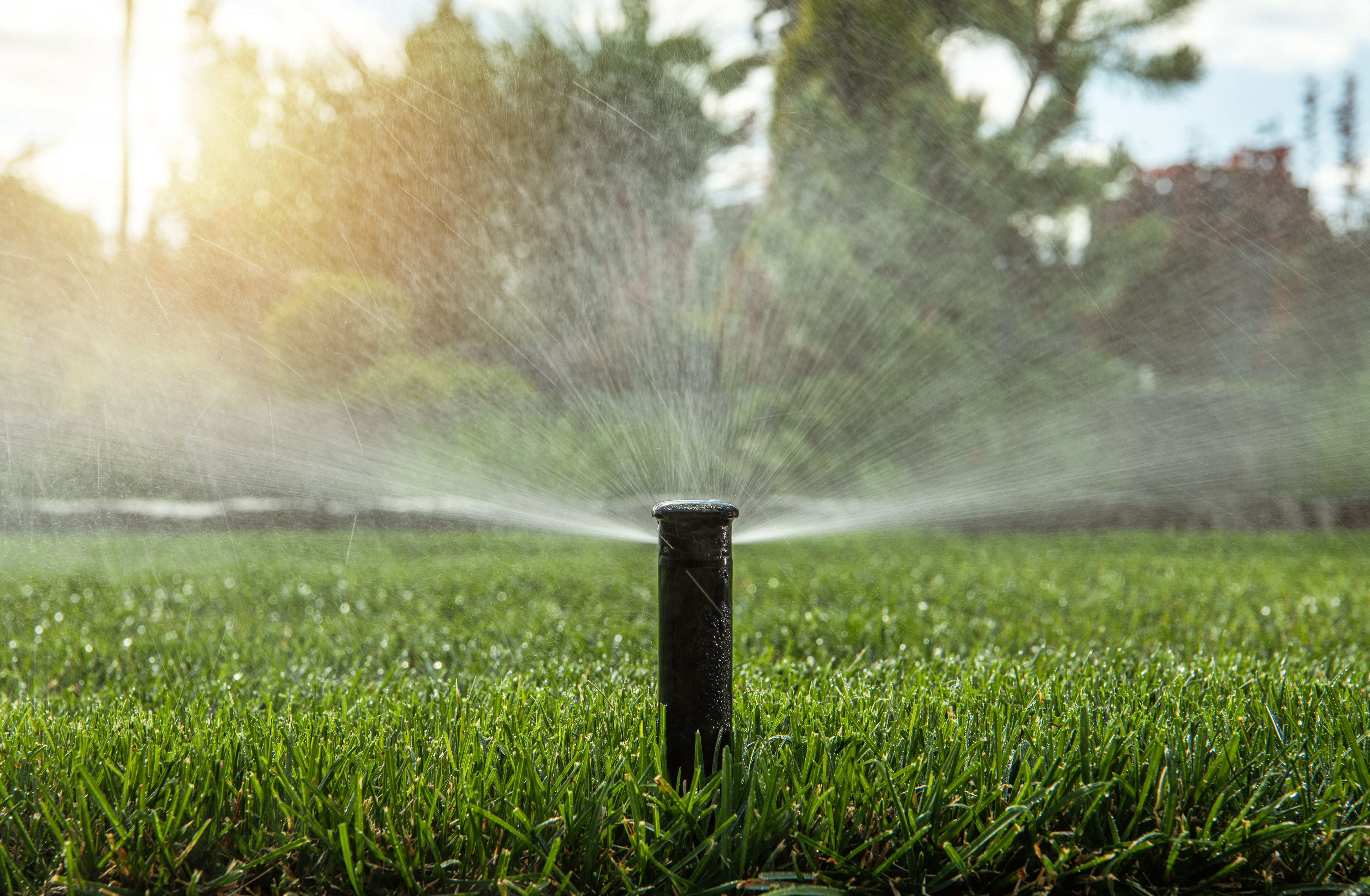 sprinkler system, Repair sprinkler Fresno CA, 