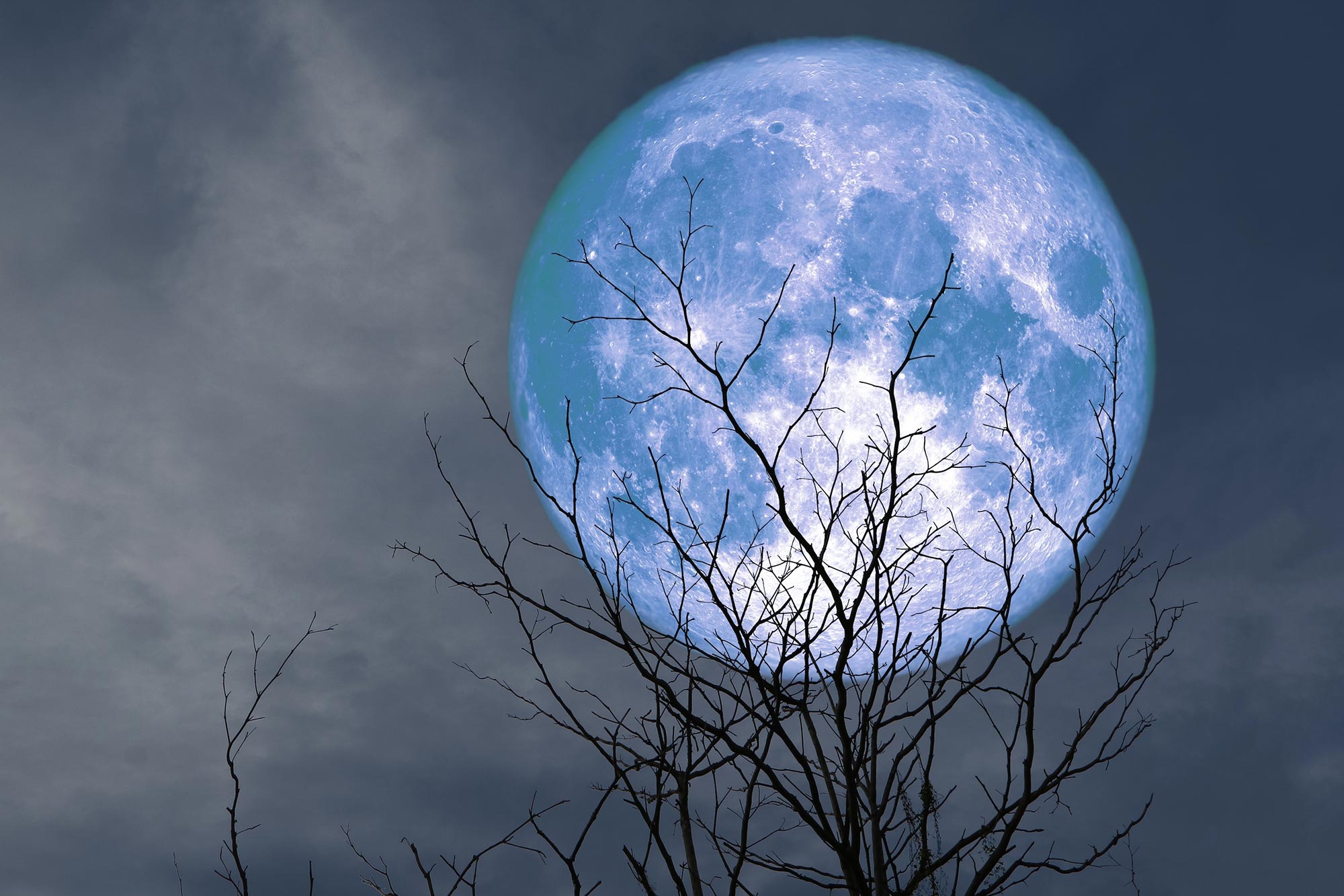 The Erotic Mirror: Astrology for Radical Self-Revelation Community Pricing