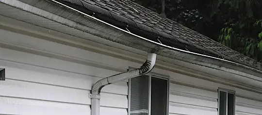 A mossy roof, with black streaks of Algae, and the gutters are sagging in Burnaby, BC