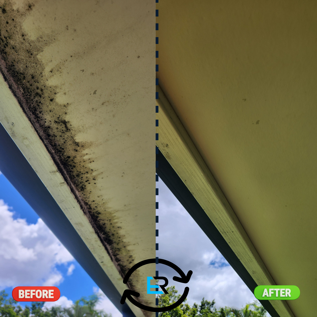 Mould Cleaning Queensland - Ever Ready Solutions Mould Cleaning Queensland - Ever Ready Solutions