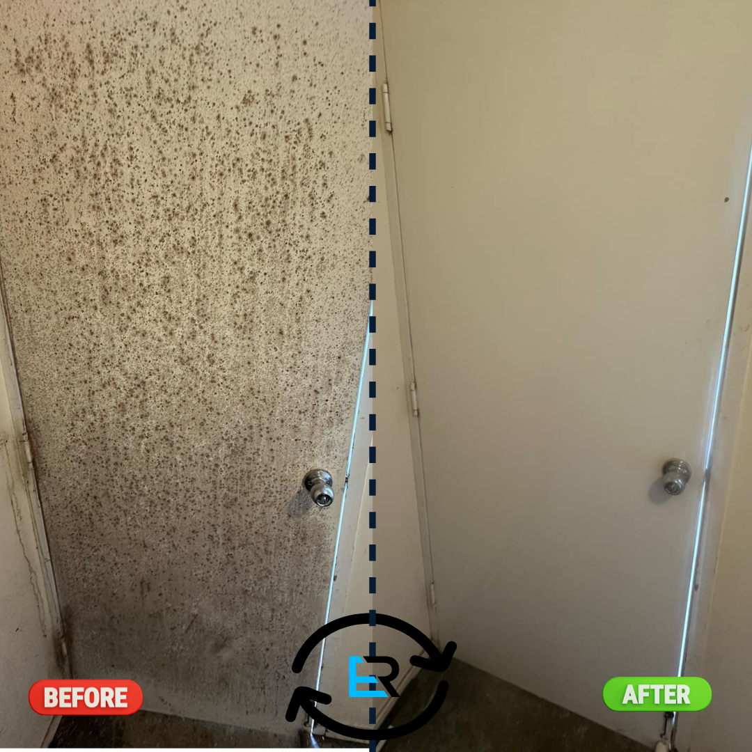 Mould Cleaning Brisbane - Ever Ready Solutions Mould Cleaning Brisbane - Ever Ready Solutions