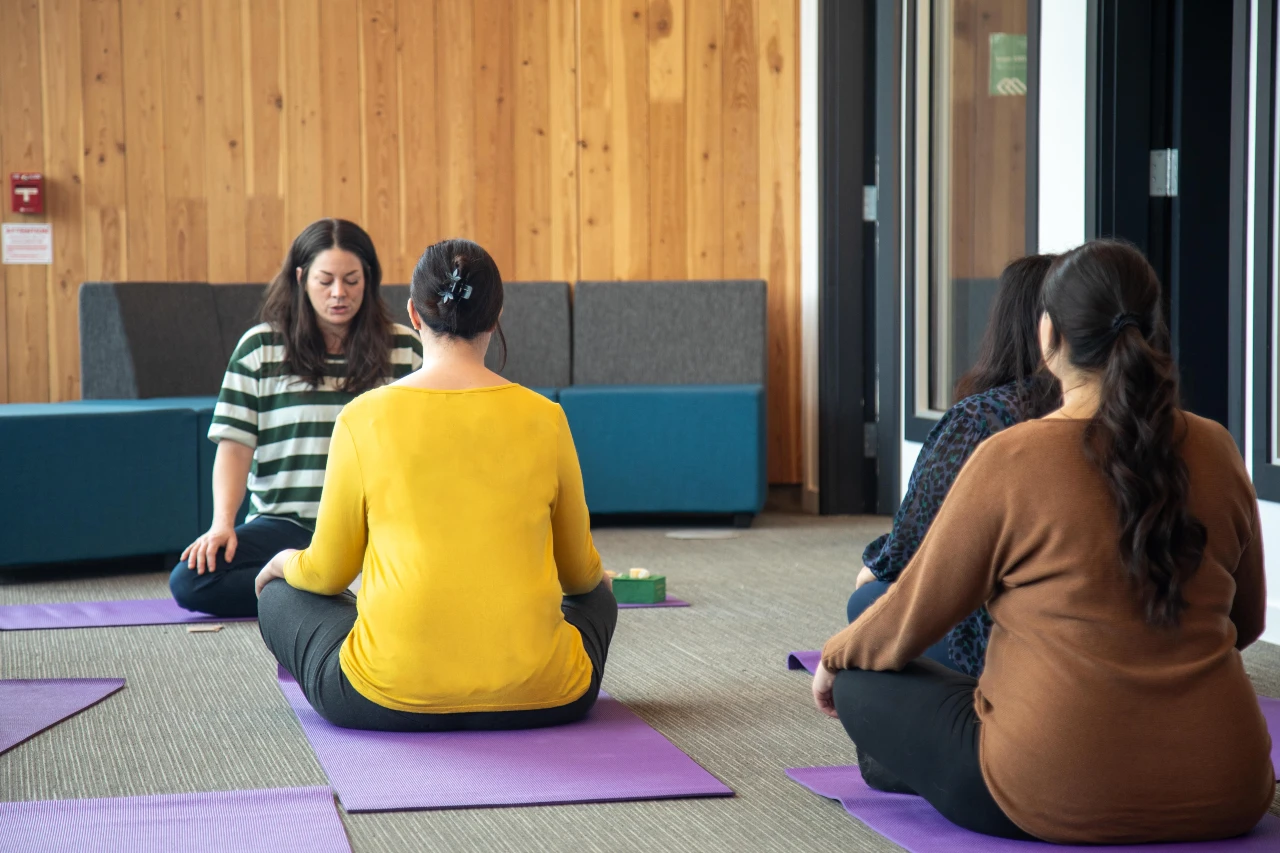 University wellness centers for referrals for therapists
