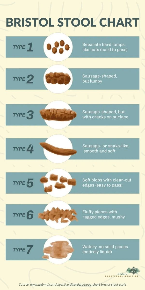 Bristol Stool Chart