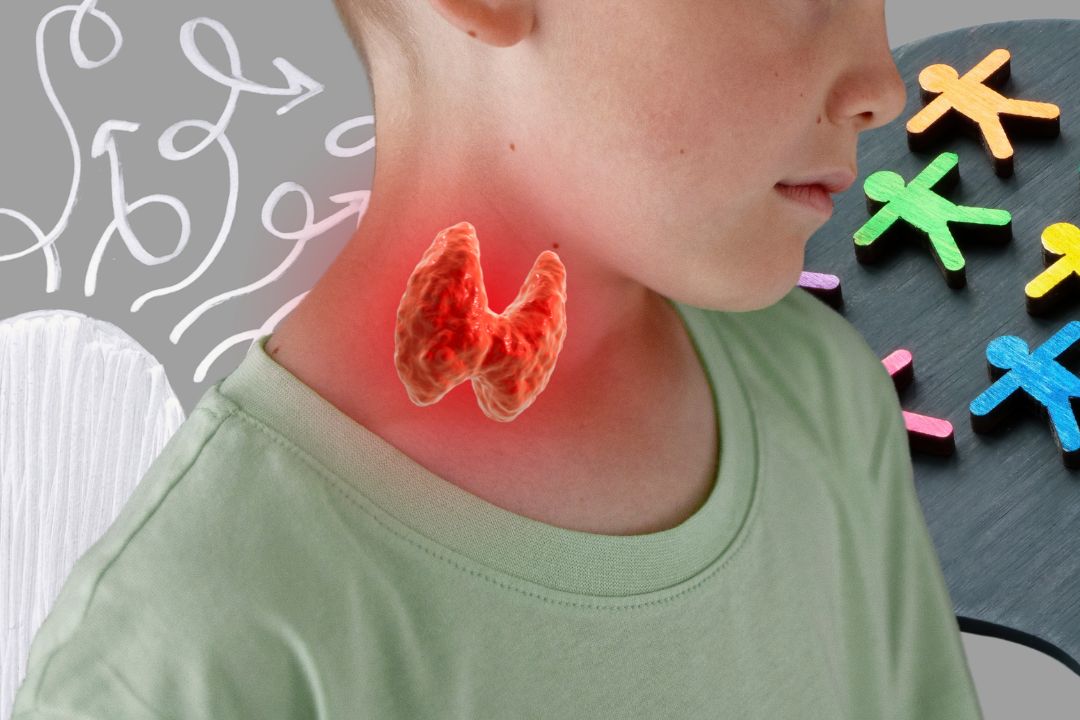 Thyroid Gland