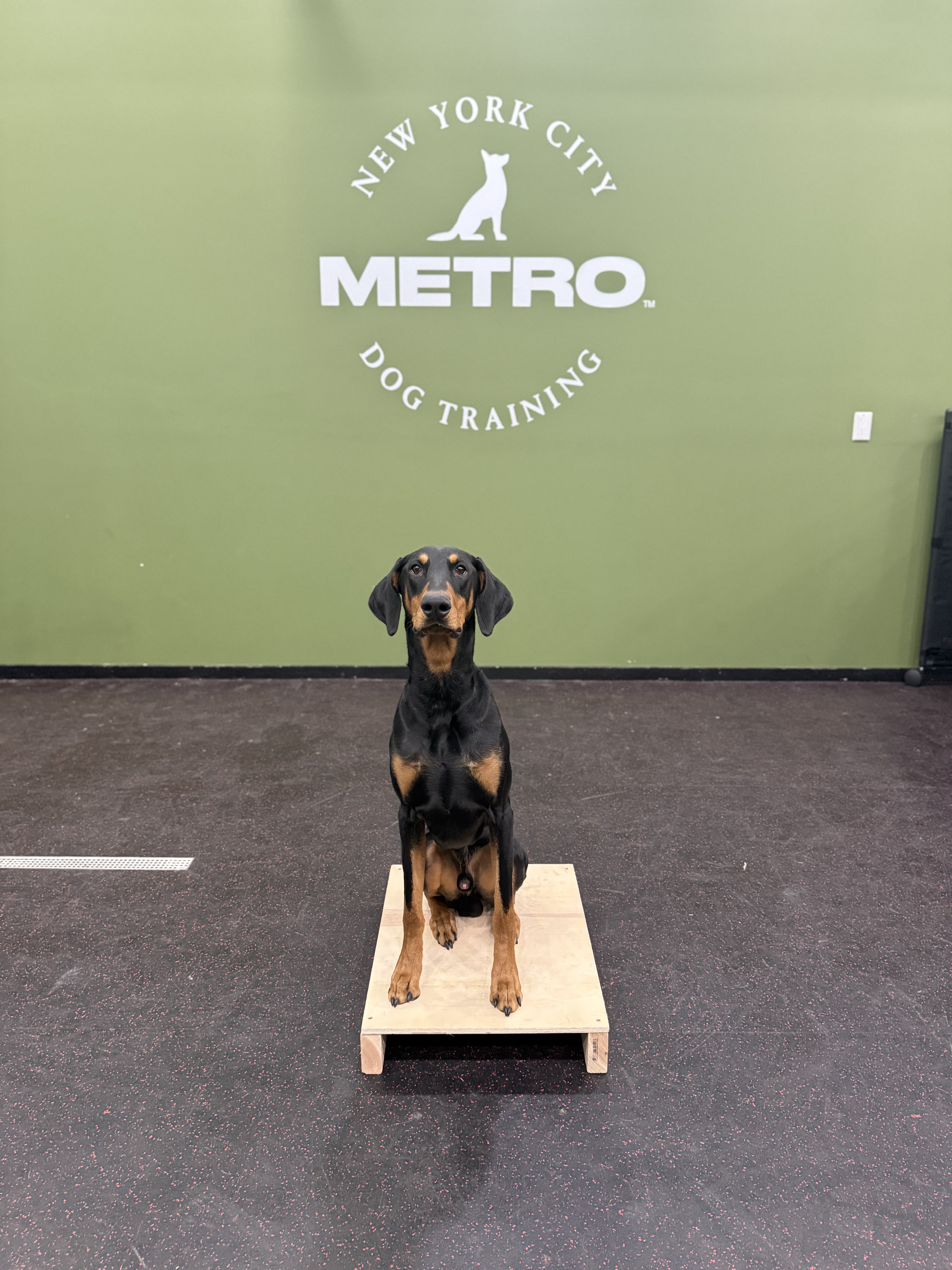 The Private Essentials