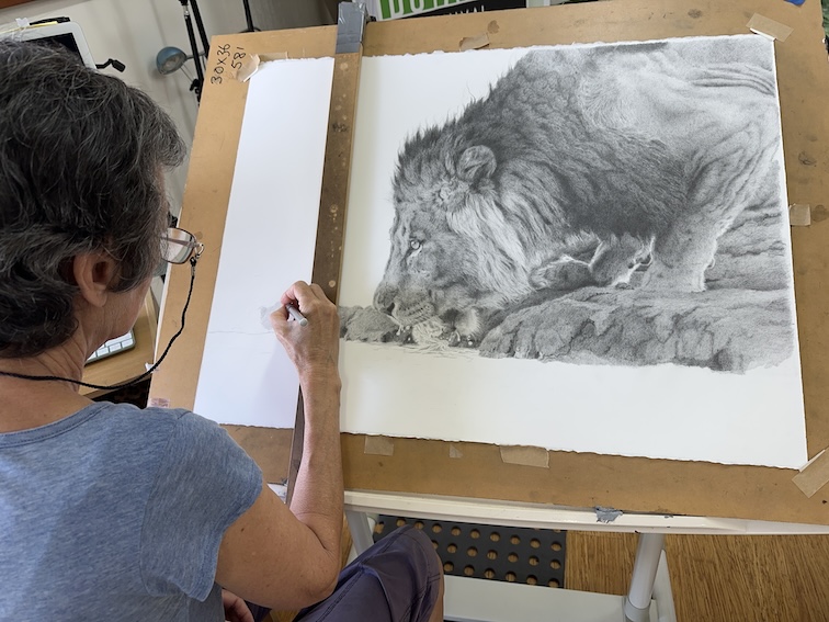 image of artist drawing a lion