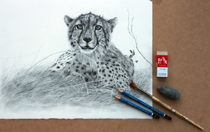 image of cheetah drawing with pencils and erasers