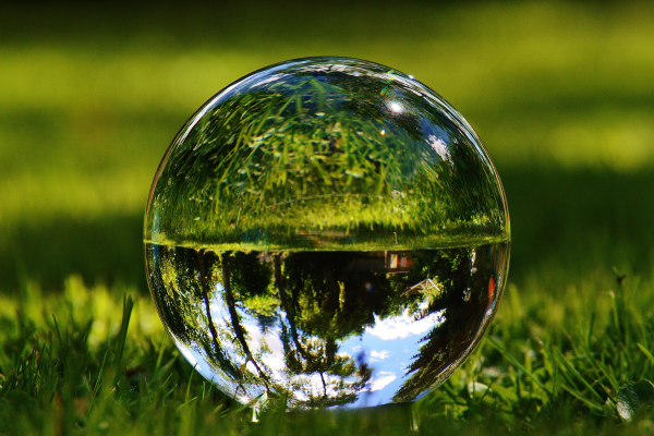 A crystal-clear glass sphere reflecting an upside-down view of nature, symbolizing perspective and clarity on the healing journey. A crystal-clear glass sphere reflecting an upside-down view of nature, symbolizing perspective and clarity on the healing journey.