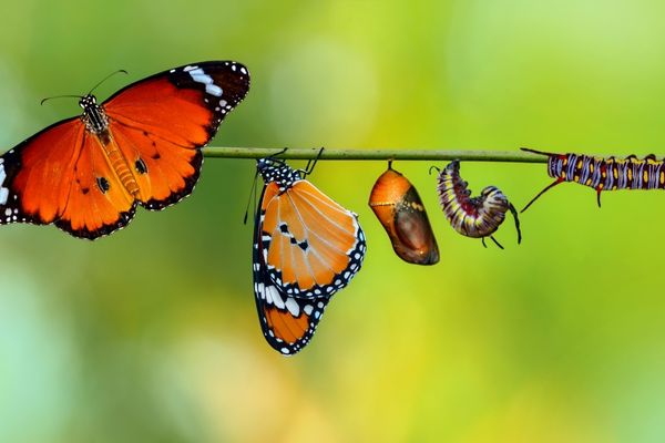 Why Smart Systems Transform Small Businesses Overnight