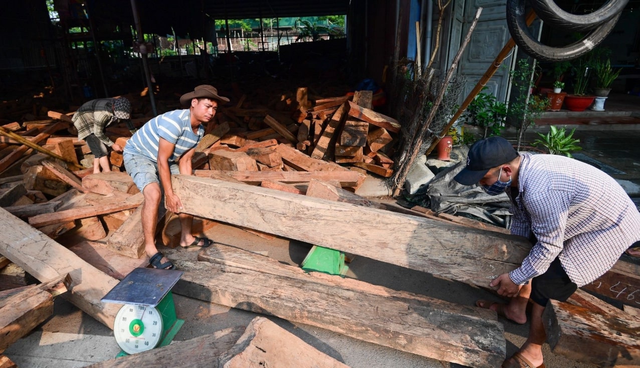 Tuổi Thơ Gian Khó của Ninh Đôn