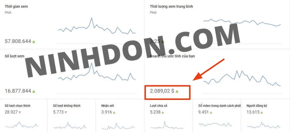 Thu nhập YouTube của Ninh Đôn