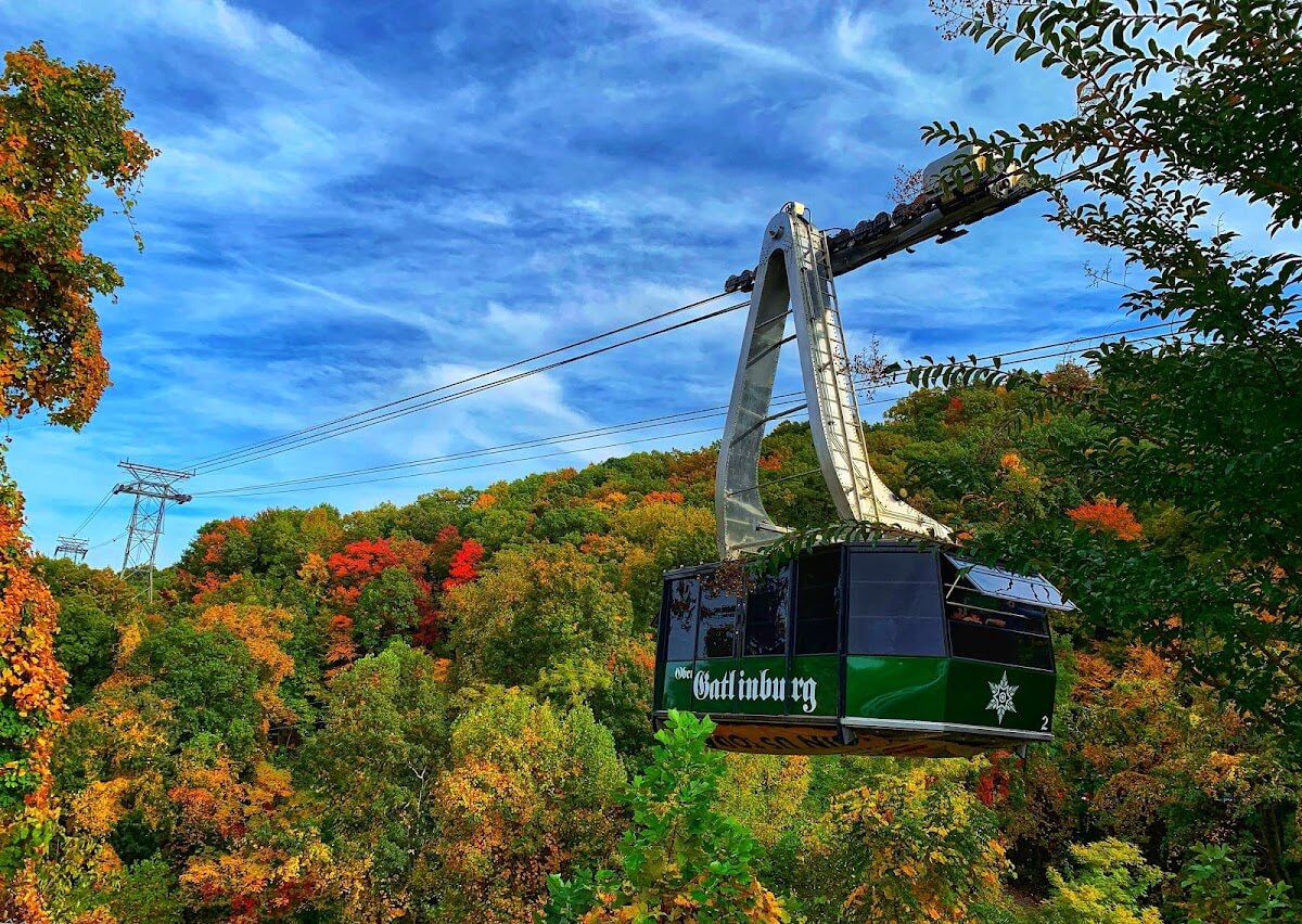 Aerial tram gliding above colorful autumn forest under bright blue sky.
