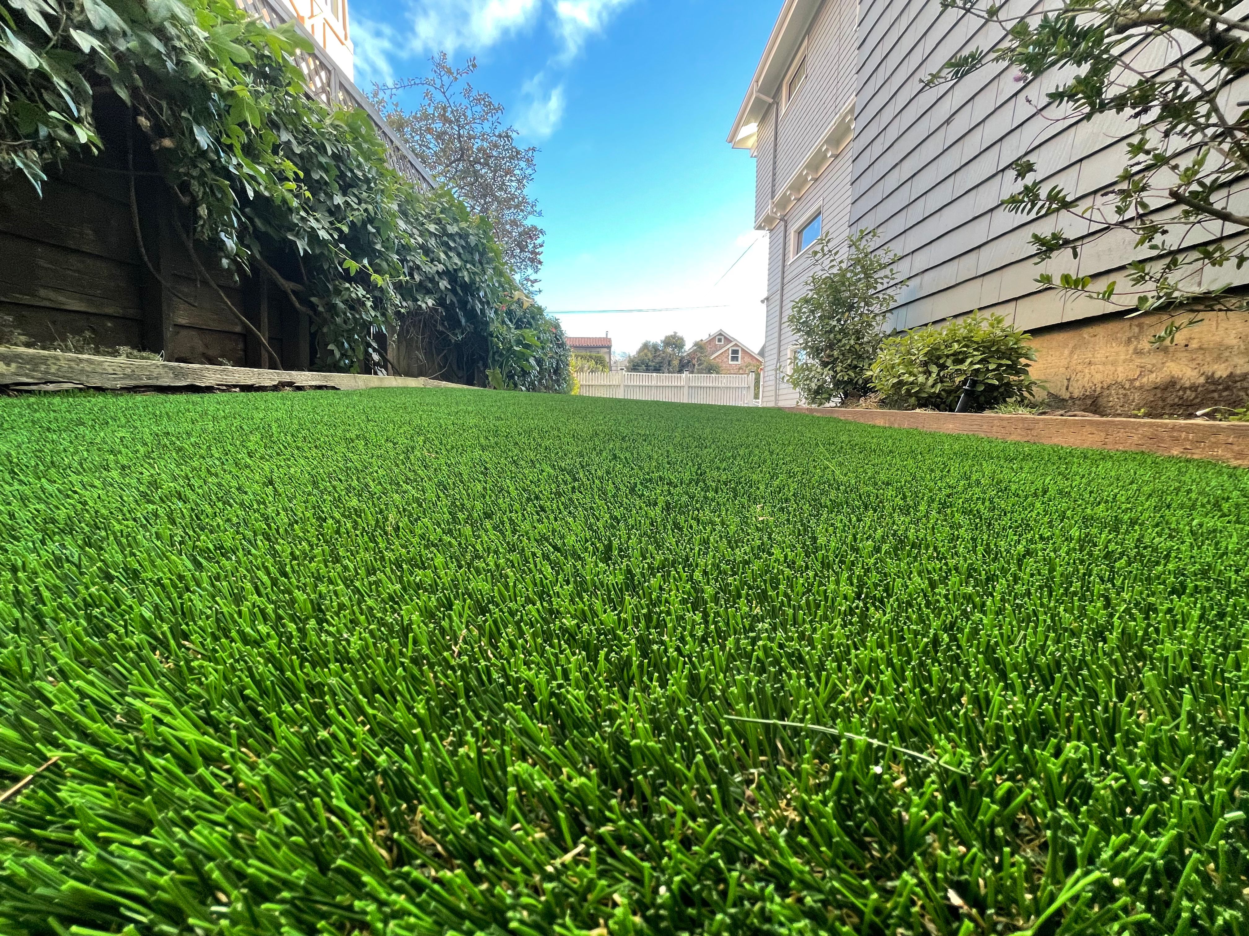 Turf & Lawn Installation