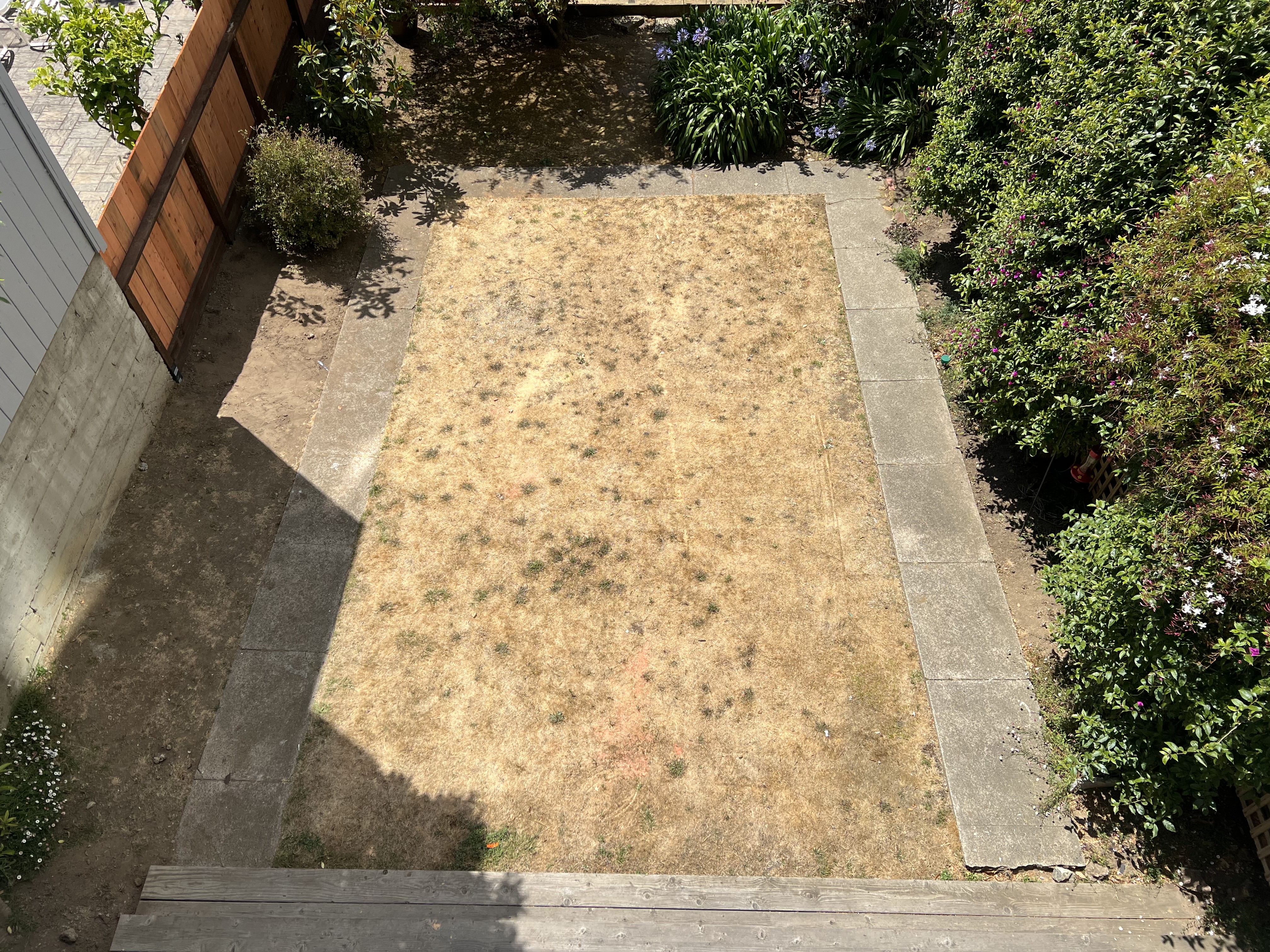 Marina District After