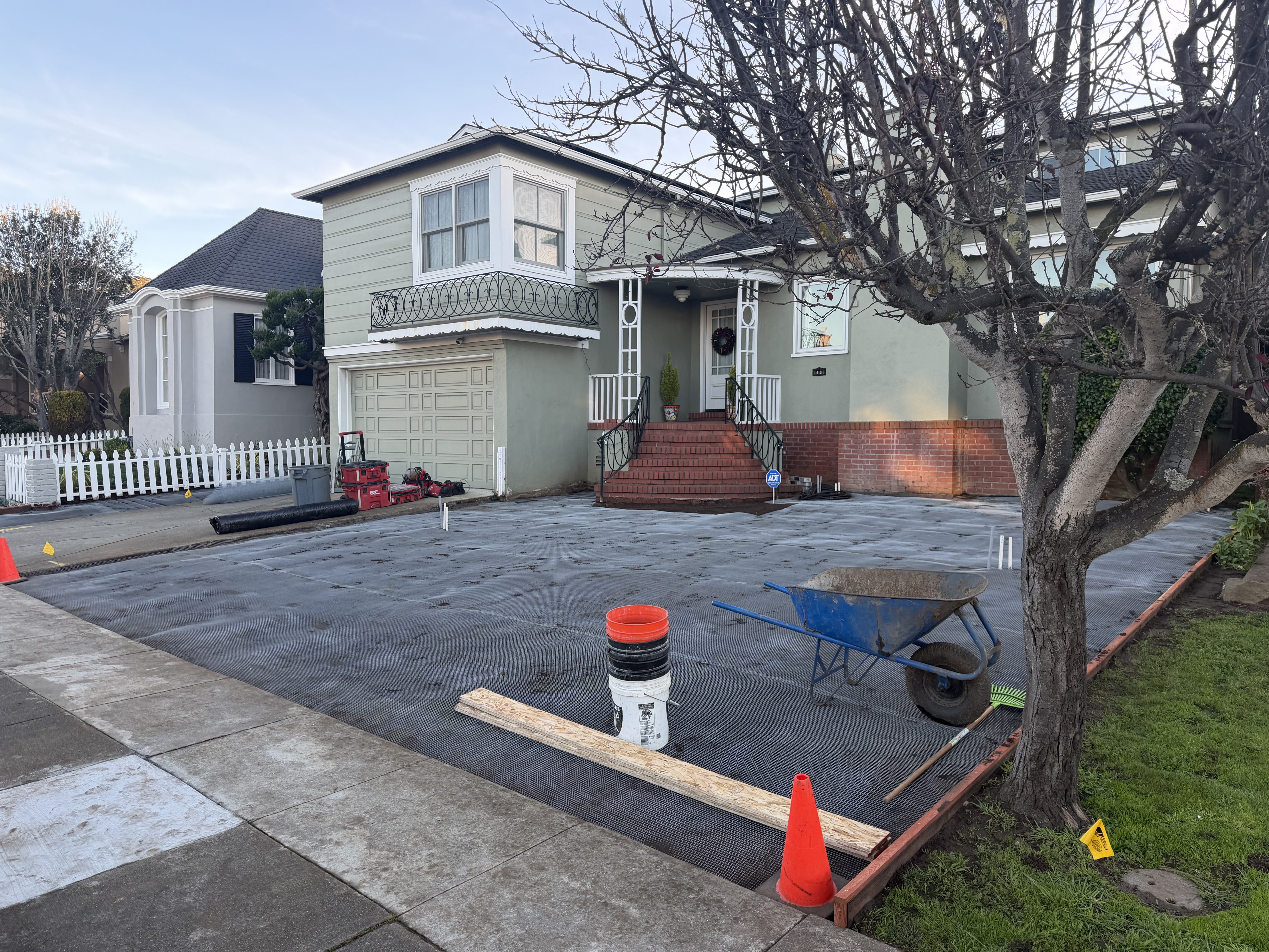 Gopher basket protection for trees and plants in San Francisco