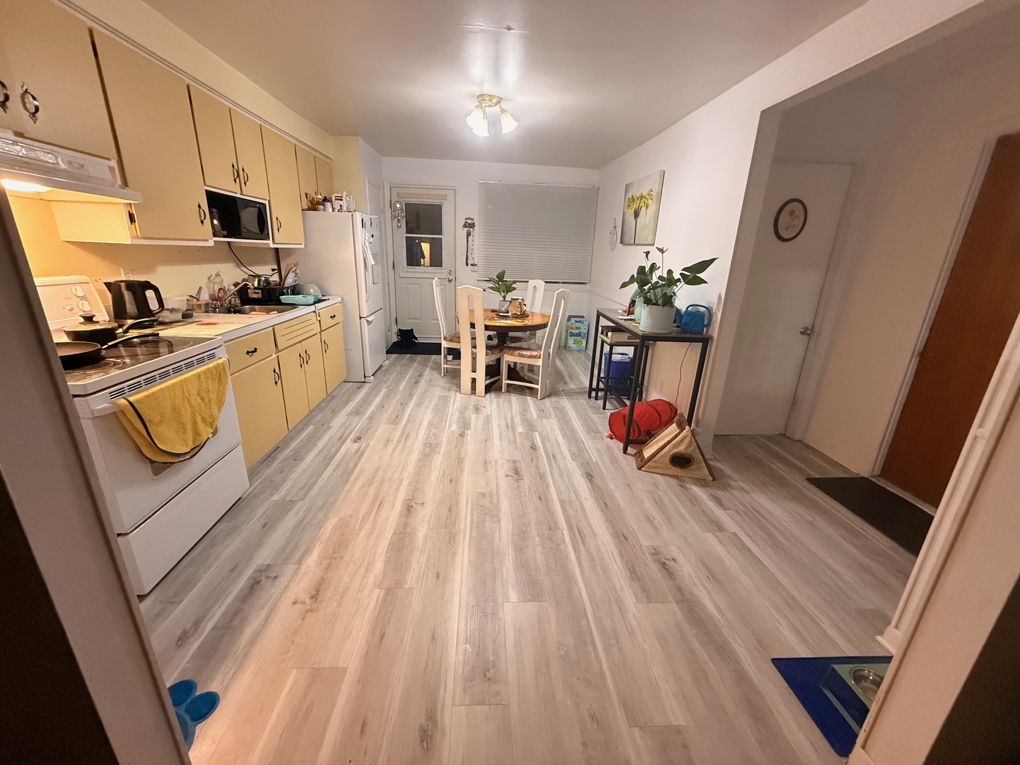 4 ½ rue Toupin à 1 225$ — photo 1