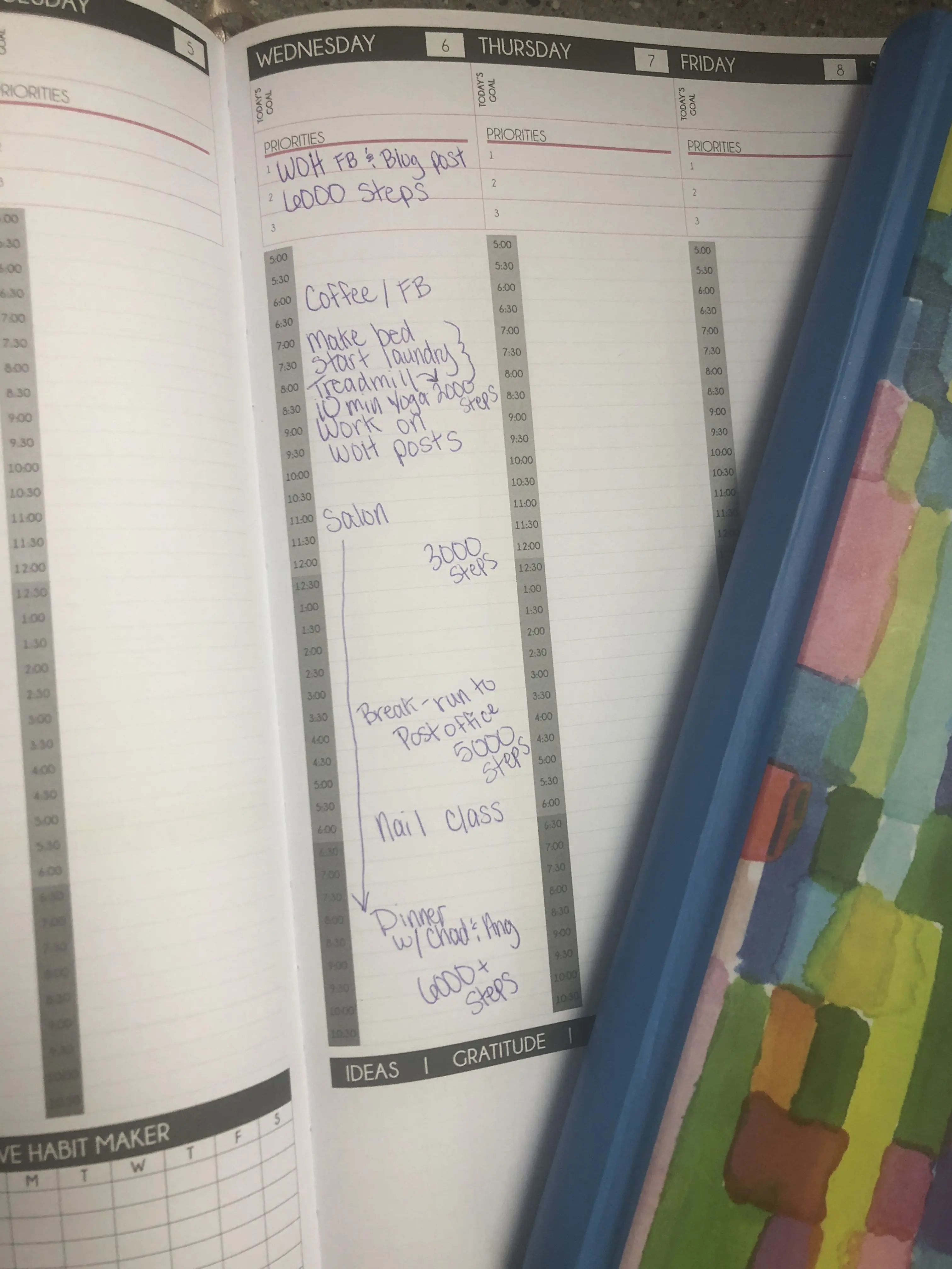 So, while sitting at the airport on Sunday I ordered this planner. I am going to start taking control of my days, and by doing so, take control of my diet and exercise habits as well. There are two goals in posting all of this publicly….