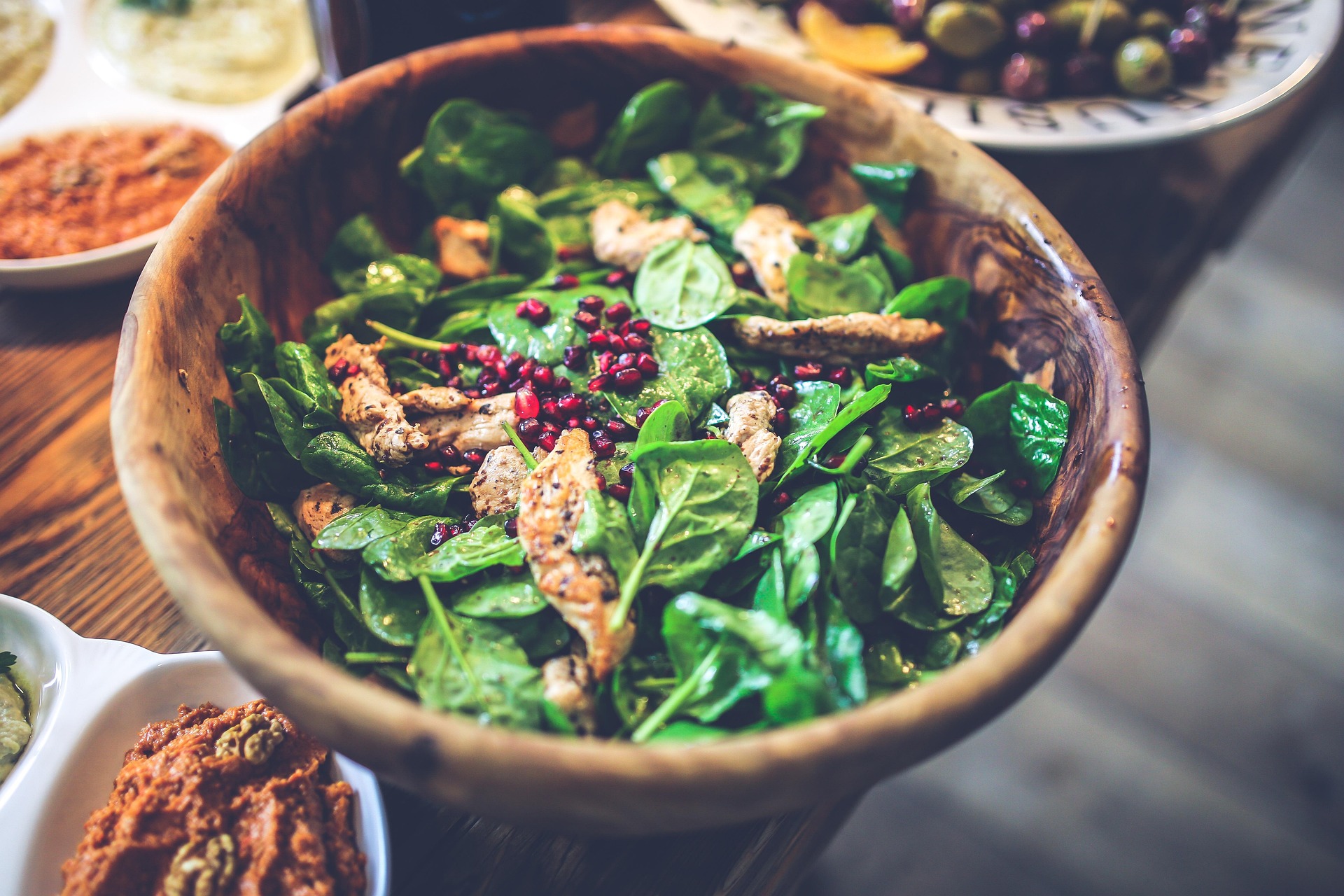 Dietitian’s Opinion of Carnivore/Low Carb Diets