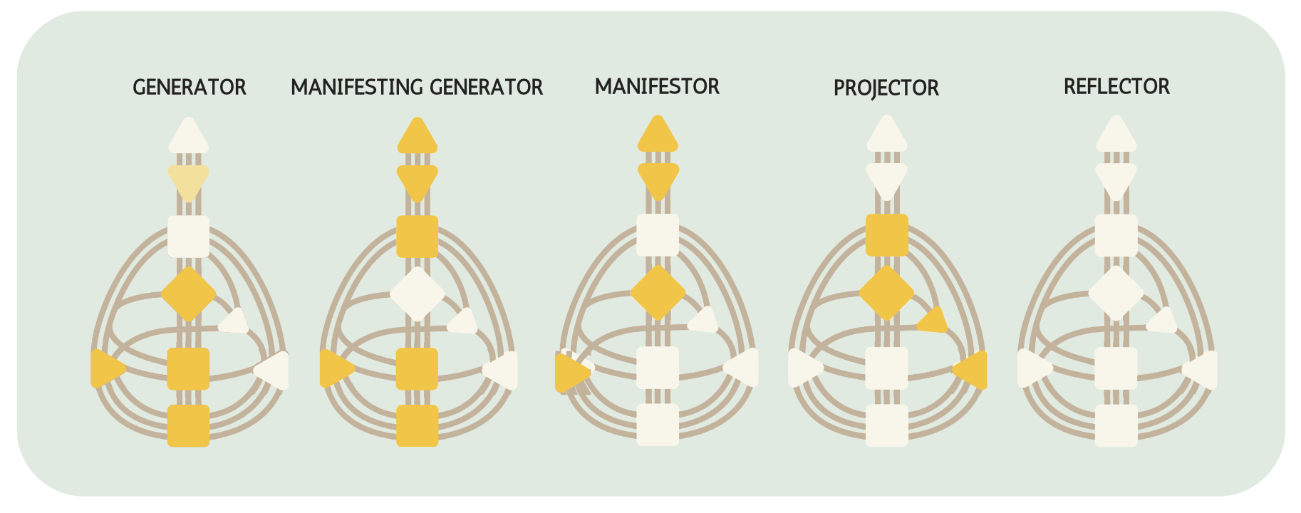 Beginners Guide to Human Design: The Types