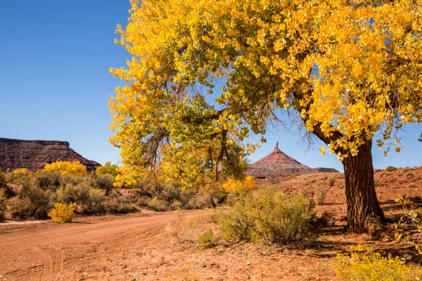Grand Canyon in the Fall Season Grand Canyon in the Fall Season