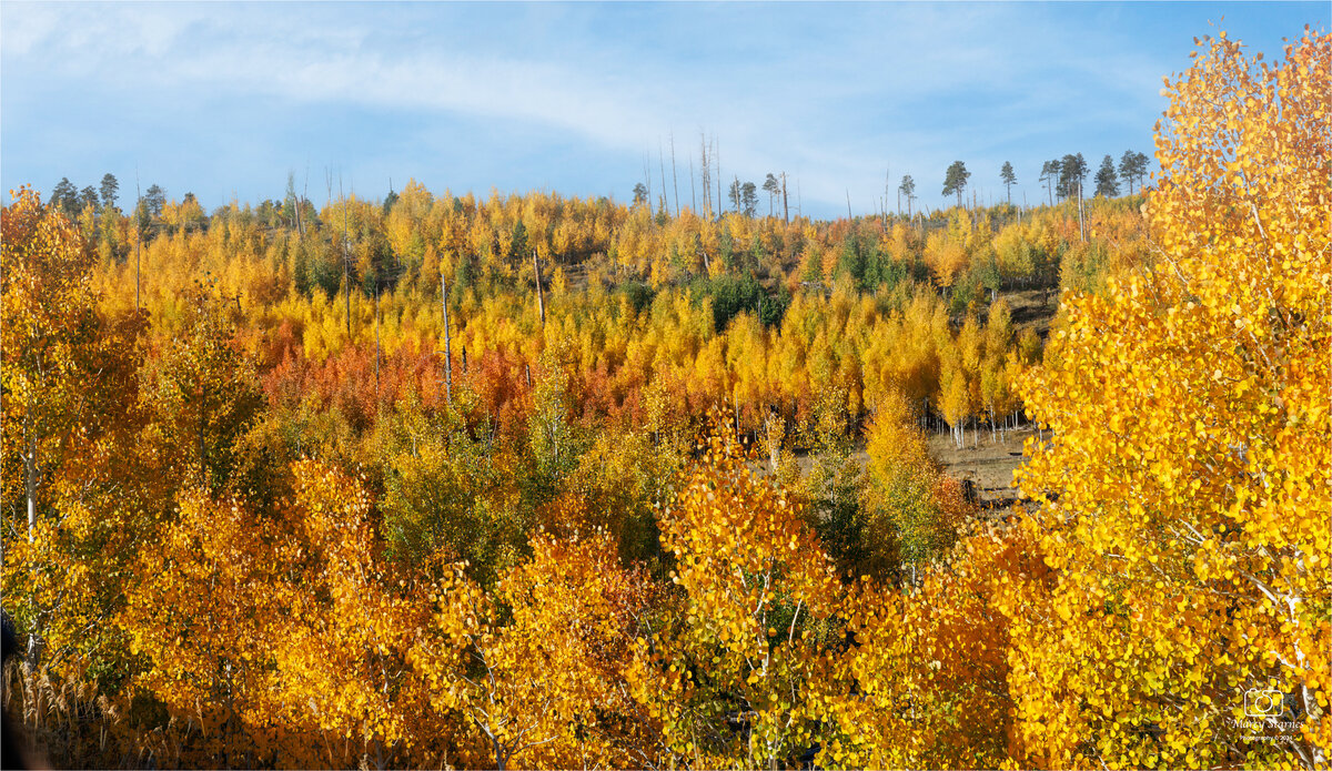Fall Colors on the North Rim Fall Colors on the North Rim