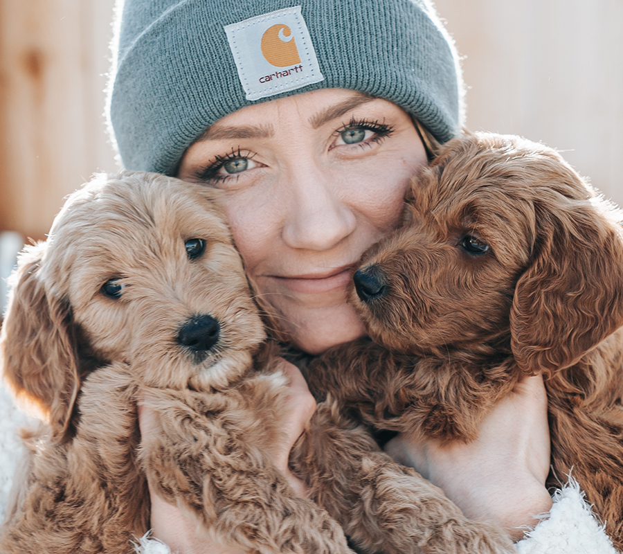 STAY GOLDEN DOODLES BLOG