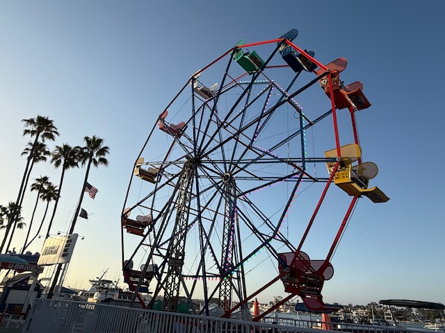 lavinia barbu wheel lavinia barbu wheel