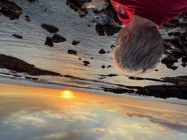 lavinia barbu expension light lavinia barbu expension light