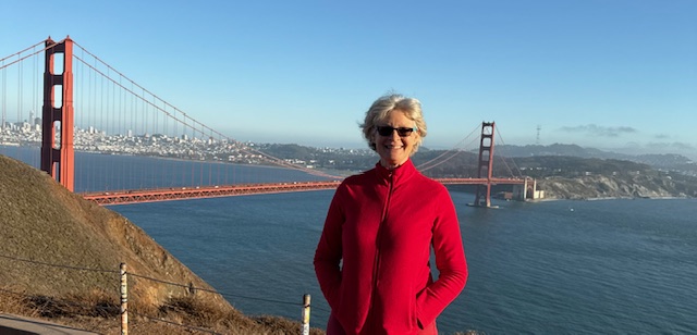 lavinia barbu expansion lavinia barbu expansion