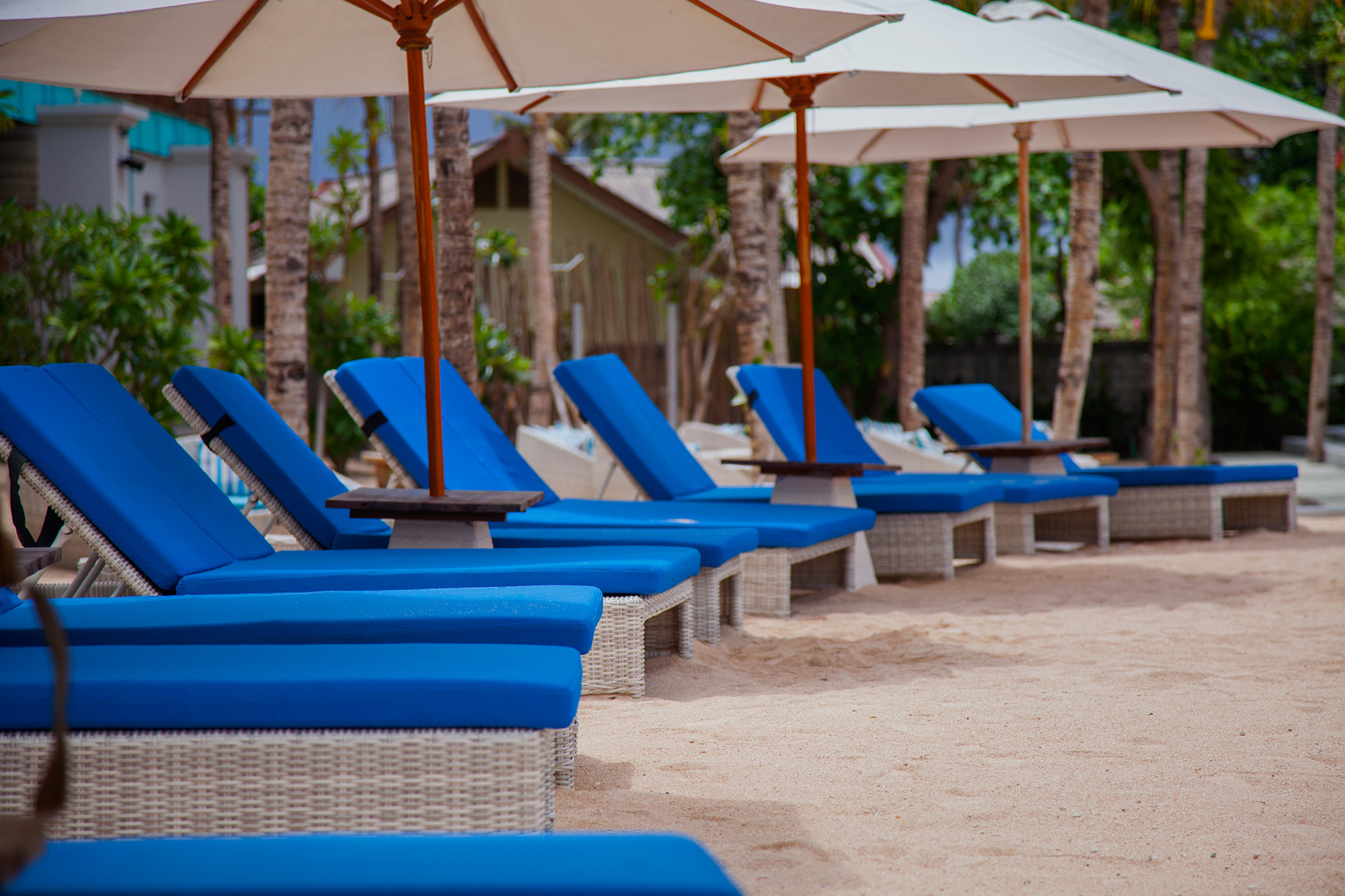 Mahagiri Beach Club Lounge Chairs