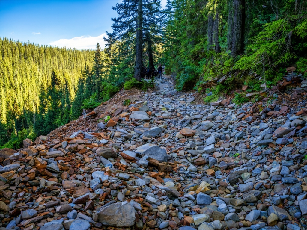 A rocky path for surviving parenting teenagers A rocky path for surviving parenting teenagers