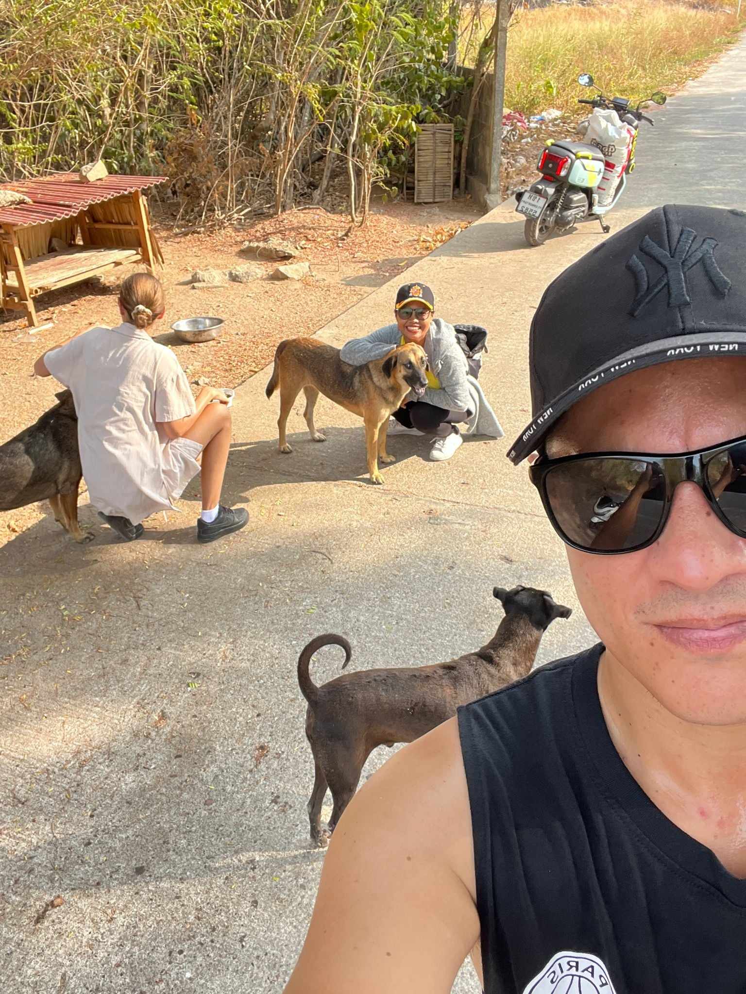 Feeding stray dogs