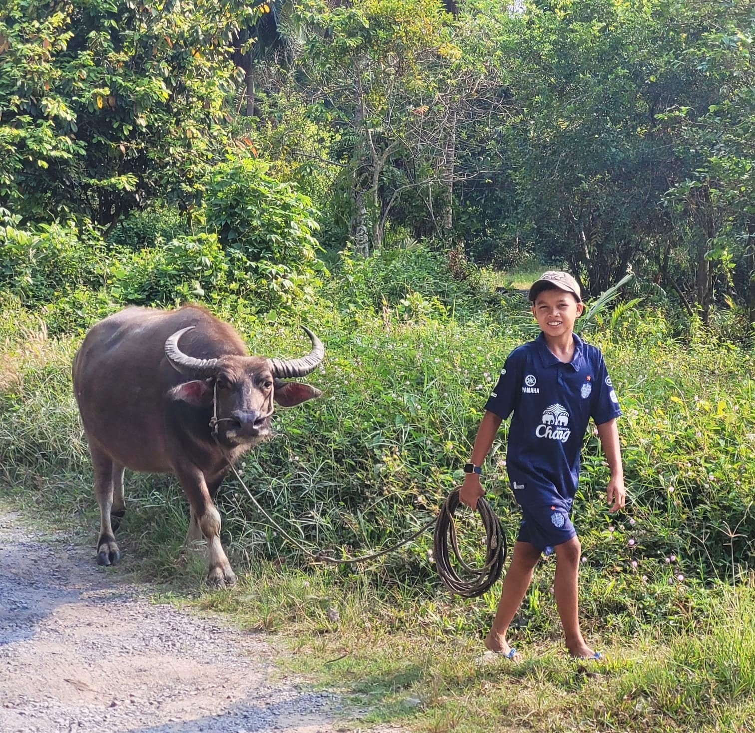 Boy walking Buffalo