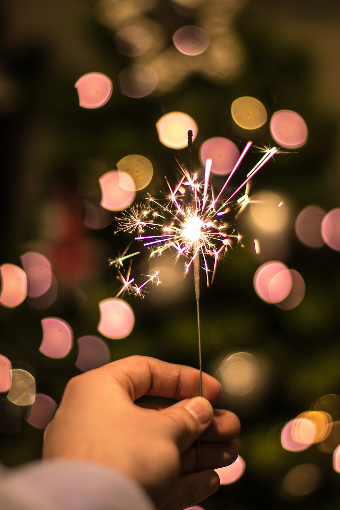 celebration sparkle celebration sparkle