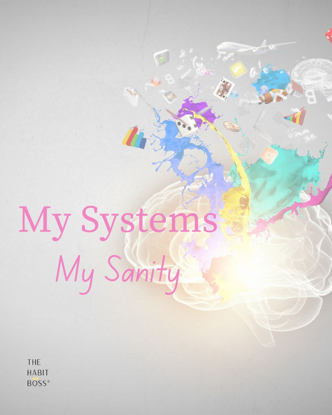 a woman planting a shrub a woman planting a shrub