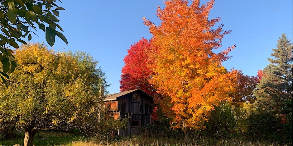 rochester ny fall activities 