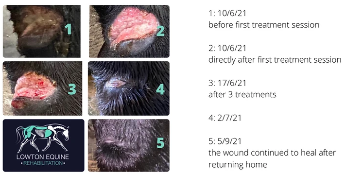 results of treatment results of treatment